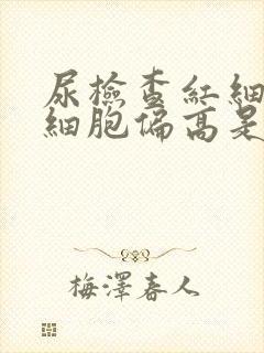 尿检查红细胞白细胞偏高是什么病