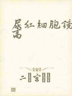 尿红细胞镜检增高