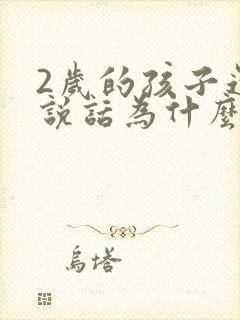 2岁的孩子还不说话为什么