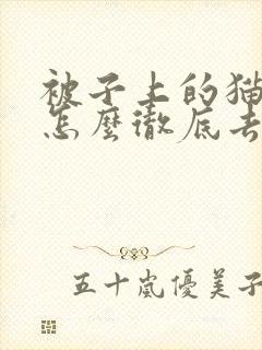 被子上的猫尿味怎么彻底去除