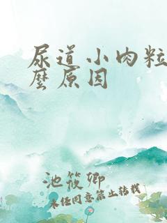 尿道小肉粒是什么原因