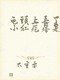 龟头上长了几个小红疙瘩是怎么回事