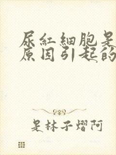 尿红细胞是什么原因引起的