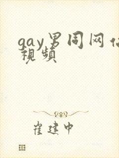 gay男同网站视频