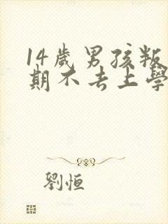 14岁男孩叛逆期不去上学怎么办