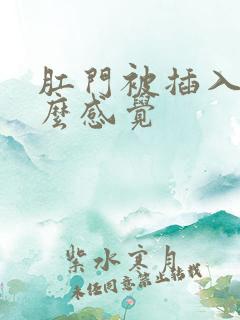 肛门被插入是什么感觉