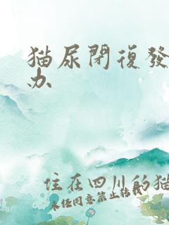 猫尿闭复发怎么办