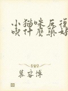 小猫咪反复尿闭吃什么药好