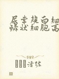 尿常规白细胞跟鳞状细胞高怎么办