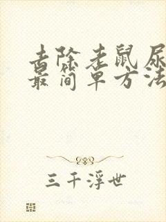 去除老鼠尿骚味最简单方法