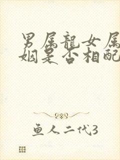 男属龙女属猴婚姻是否相配