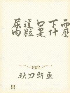 尿道口下面长小肉粒是什么