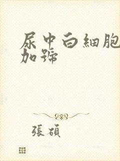 尿中白细胞一个加号