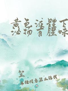 黄色液体下面分泌物有腥味