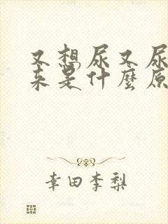 又想尿又尿不出来是什么原因