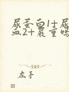 尿蛋白1+尿潜血2+严重吗