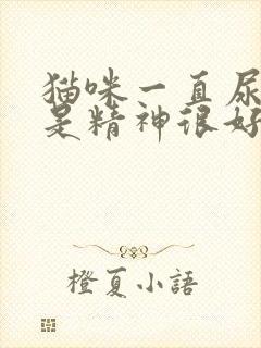 猫咪一直尿血但是精神很好