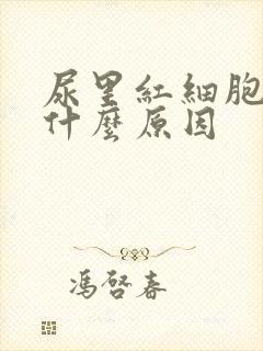 尿里红细胞偏高什么原因