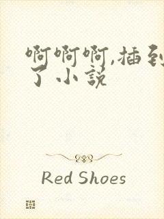 啊啊啊,插到底了小说