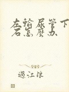 左输尿管下段结石怎么办