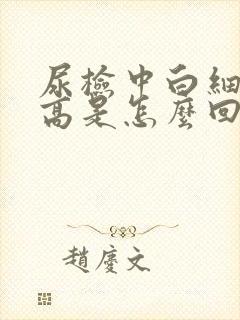 尿检中白细胞偏高是怎么回事