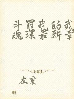 斗罗我的武魂是魂环最新章节