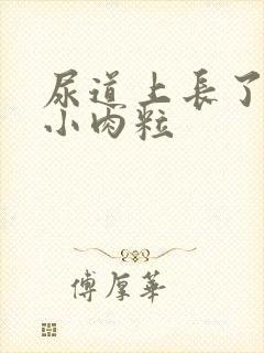 尿道上长了几个小肉粒