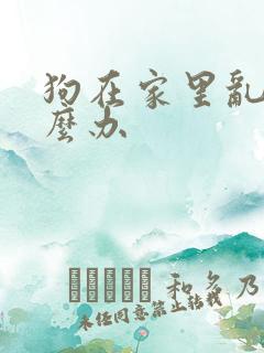 狗在家里乱尿怎么办