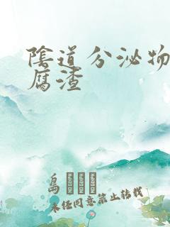 阴道分泌物黄豆腐渣