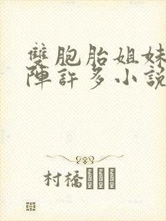 双胞胎姐妹齐上阵许多小说说免费