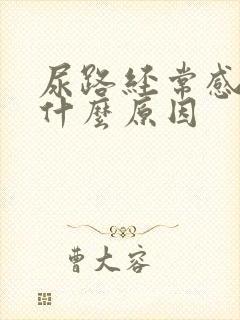 尿路经常感染是什么原因