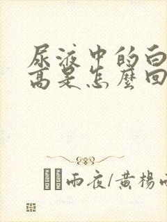 尿液中的白细胞高是怎么回事