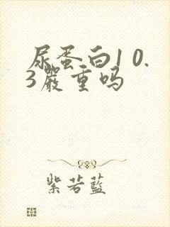 尿蛋白1 0.3严重吗