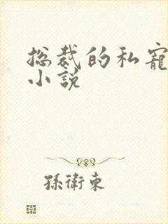 总裁的私宠甜妻小说