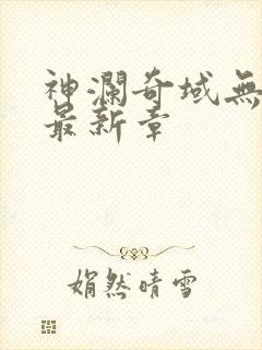 神澜奇域无双珠最新章
