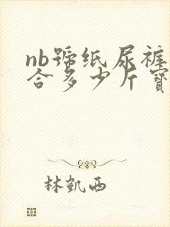 nb号纸尿裤适合多少斤宝宝用