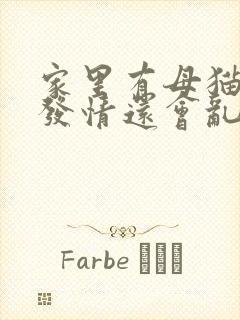 家里有母猫公猫发情还会乱尿吗