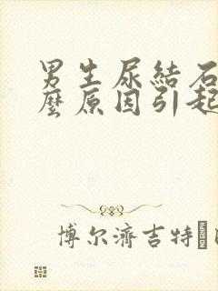 男生尿结石是什么原因引起的啊