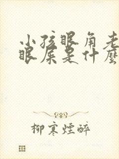 小孩眼角老是有眼屎是什么原因