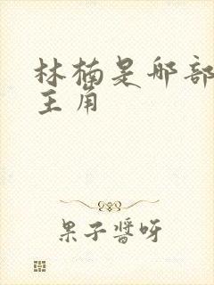 林楠是哪部小说主角