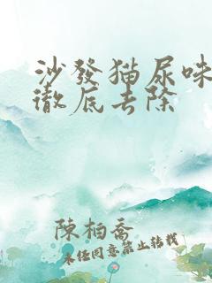 沙发猫尿味怎么彻底去除