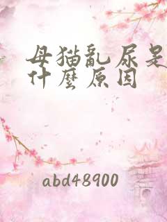 母猫乱尿是因为什么原因