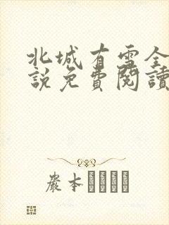北城有雪全文小说免费阅读