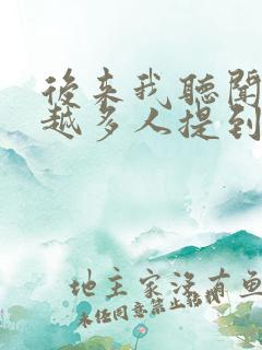 后来我听闻越来越多人提到你是什么歌