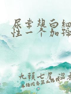 尿常规白细胞阳性一个加号