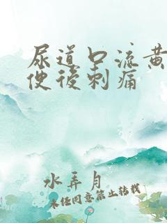 尿道口流黄脓小便后刺痛