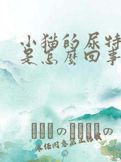 小猫的尿特别黄是怎么回事