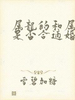 属龙的和属猴的是否合适婚配