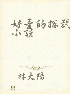 好看的总裁宠文小说