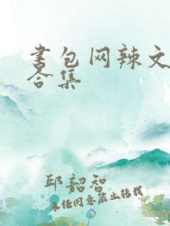 书包网辣文np合集